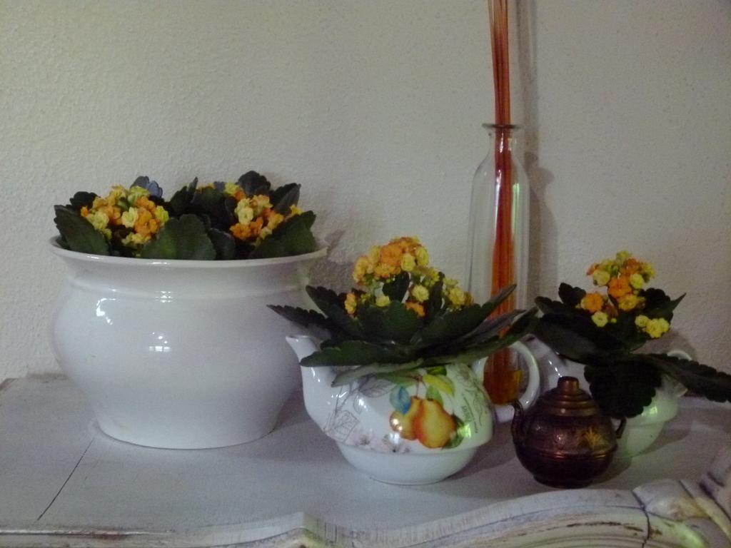 Agroturismo Ibarra Amorebieta-Etxano Room photo